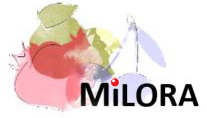 МИЛОРА - розничный интернет-магазин для юридических и физических лиц